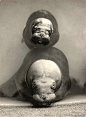 Friedrich Seidenstücker (1882-1966)，德国摄影师，早年学习雕塑，直到46岁才卖出自己的第一副摄影作品，他以拍摄20世纪20-40年代德国街头生活及被二战摧毁的柏林景象著称。这里整理的部分作品拍摄于柏林动物园，时间跨度从1926-1960年。

这组拍摄于1930年，其中从水中探出头来的两头海象是大家最熟悉的吧！