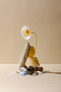 art direction  beauty brand identity branding  cosmetics creative perfume Photography  scent still life