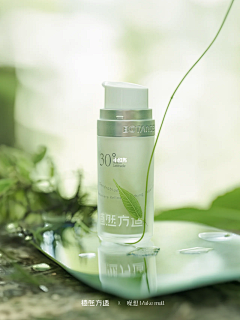 山花焦叶暮色丛采集到森林背景
