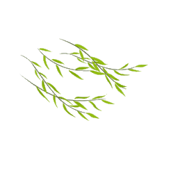 燕穿柳
