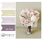 Category : Color Crush Palette | Photographer Templates by Photo Card Boutique - Page 14