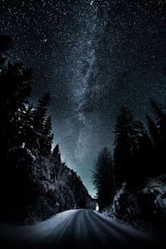 椿湫yhblsqt采集到黑夜没有光
