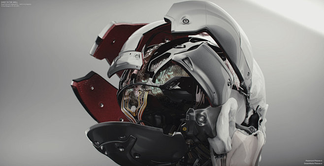 GITS_HeadInternal_09...