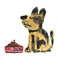 Photo by Justin Worsley on August 16, 2024. May be an illustration of Norwich terrier, petfood and text.