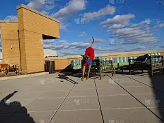 穿着毛衣的狗在玩耍