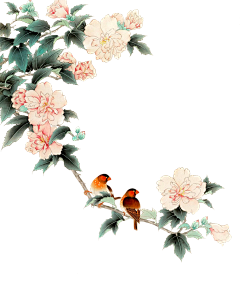 路标标采集到花