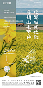 融创 地产 生态 田园