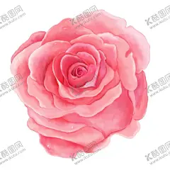 浪漫爱心情人节主题素材高清图片 【酷图网】浪漫,爱心,情人节,主题,素材,高清图片,情人节快乐,玫瑰花,鲜花