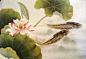 "荷花与鱼"