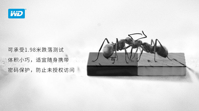 小，快，承载量大，团队分工明确