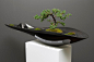 Kasokudo - Bonsai Planter by Adrian Magu