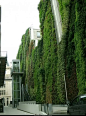 植物绿墙 · 让城市“绿”起来