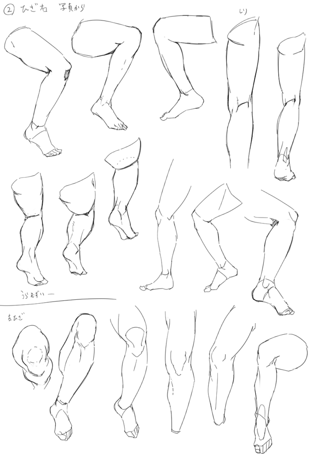 #绘画参考#来自绘师：4氏的膝部画法。 ...