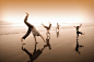 旅行,度假,摄影,写实,褐色_200029168-001_Family doing cartwheels and dancing on beach_创意图片_Getty Images China