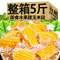 即食玉米云南水果甜玉米段真空包装学生宿舍免煮速食早餐代餐整箱-tmall.com天猫