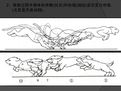 小尤说画采集到动画原理