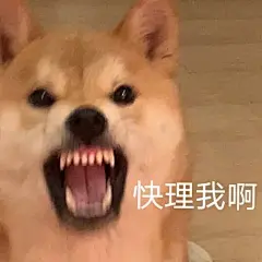 这是一组表情包哟 ​​​​