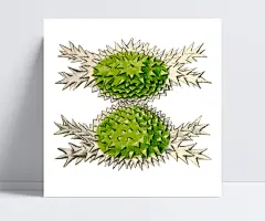海洋生物 海洋生物,卡通手绘,素材分类_2364288958
