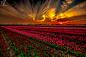 Flawless Life by Engin Gokten on 500px