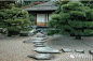 日本红枫、苔藓、松树
日式庭院中重要的绿化植物
寓意着思念、新生、延年
营造着古刹的清肃