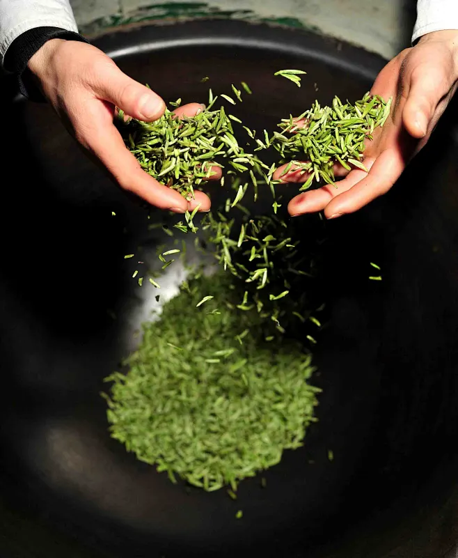 炒茶-花瓣网