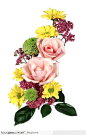 PSD花束-粉色，黄色，玫红色的花朵