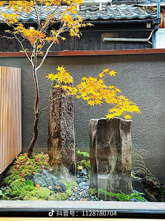 杂木庭院风格-花瓣网|陪你做生活的设计师 | 日式禅意庭院分享 - 小红书