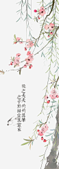 诗经桃花