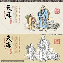 天麻 中药 药材 中草药 李时珍 中医文化 传统医药养生 采药 中药材 插画 中药包装 天麻插画 古代医学家 养生馆 采药图