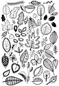 【植物简笔画素材】 ​​​​