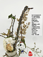 玲珑欣莘艺术插花作品：凛.若旒

插花花材：白色勿忘我，白色绣球花，黄色玫瑰花朵，珊瑚树果干枝，秋蒲公英干枝，樱花木，
一个自己烧的花瓶，一个淘来的独眼可爱小龙猫

白色勿忘我花语：表示不要忘记我，表示永恒的爱，永远不会改变的心。

白色绣球花花语：纯白如雪，不受污浊，圣洁高贵如天使一般。白色绣球花花语表达的就是希望之意。无论是对人还是对事，柳暗花明又一村，光明的未来总会在山洞的出口等待着我们寻找。收到白色绣球花的人，生命是有重量的，是能给人带来希望的。

黄色玫瑰花花语：对于友情，黄玫瑰代表纯洁的友谊和