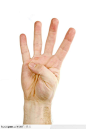 手势喻意-代表数字四