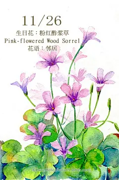 每日一花 11.2-Haru. Hello.
微博:豆芽君的haru酱
