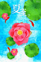 夏至海报