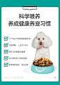 笑宠小金毛狗粮幼犬专用1-12个月大型犬20kg美毛补钙奶糕粮40斤装-tmall.com天猫