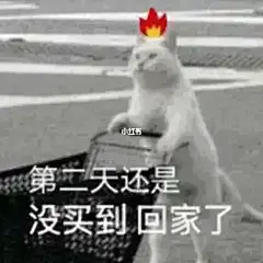 大学生找表情包