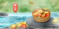 寒露中国传统节日二十四节气宣传插画海报