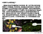 【新手入厨必须要知道的十个做菜小常识】