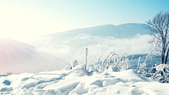 哆啦俺么鞥采集到雪背景