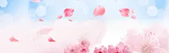 春季清新化妆品粉色淘宝海报背景 春天 春季 春季新品 春暖花开 春游 春装 淘宝 立春 美妆 美妆节 美容 花瓣 补水 背景 设计图片 免费下载 页面网页 平面电商 创意素材