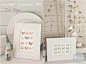 Seashell Specimen Art - 27 Briliant DIY Home Decor Projects That Will Make Your Home Unique