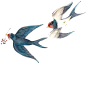 燕子