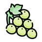 提子