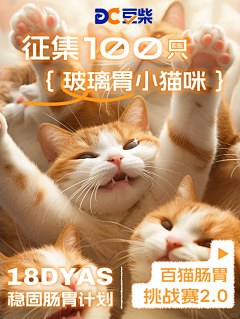 失心味的小仙女采集到版面学习
