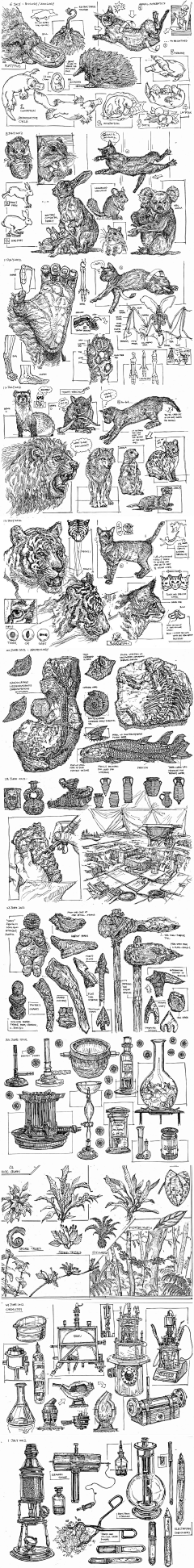 随性落叶采集到绘画