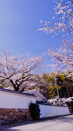 GUOGUOKeep采集到背景/风景