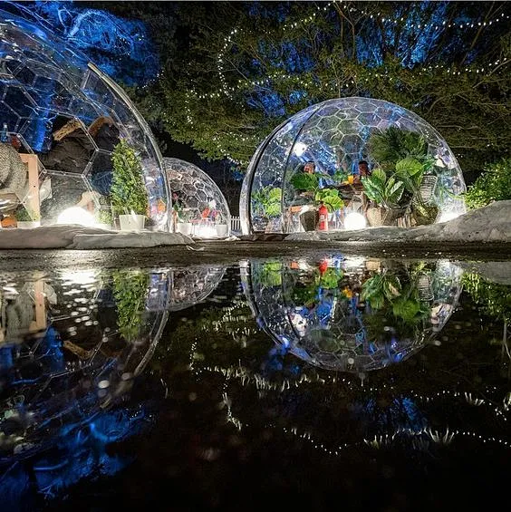 Gallery image with a fresh perspective