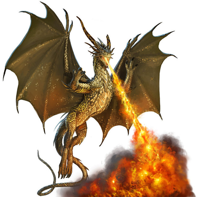 Gold Dragon by Rhine...