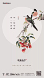 地产广告库