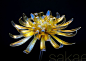 Sakae Kiku Chrysanthemum Kanzashi